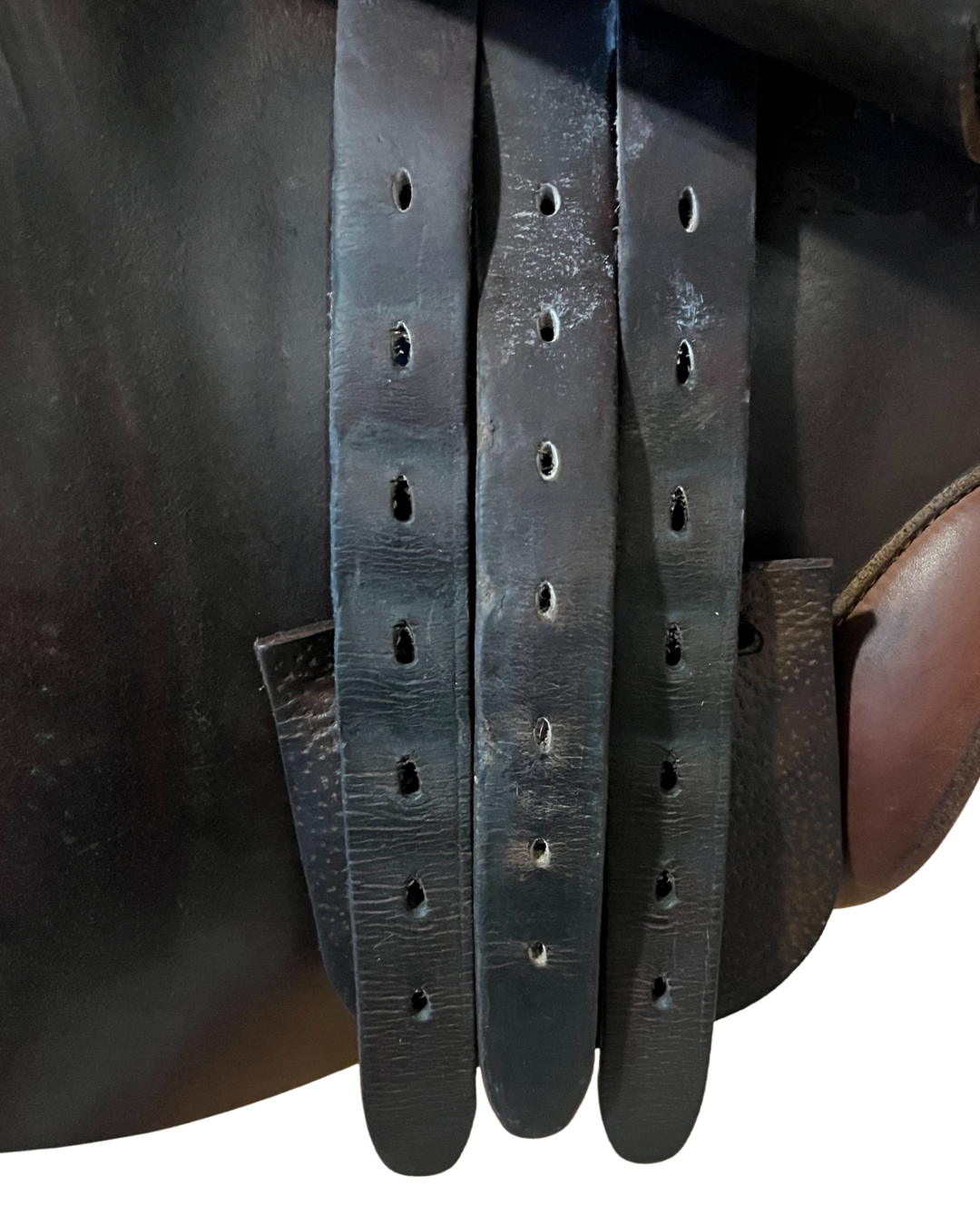 Childeric • FM • 17”