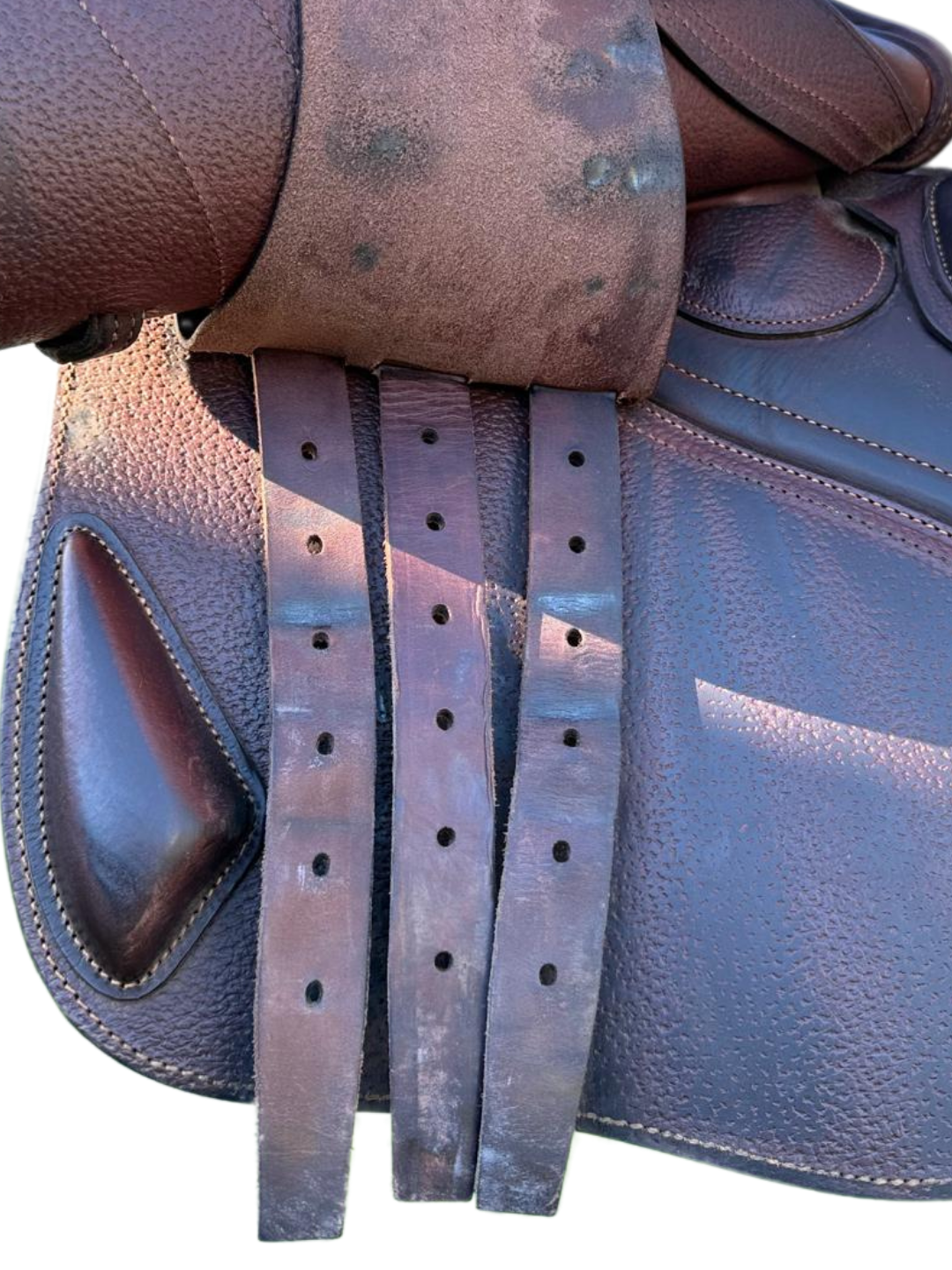 CWD SE38 2Gs Hunter Mademoiselle Jump Saddle | S3