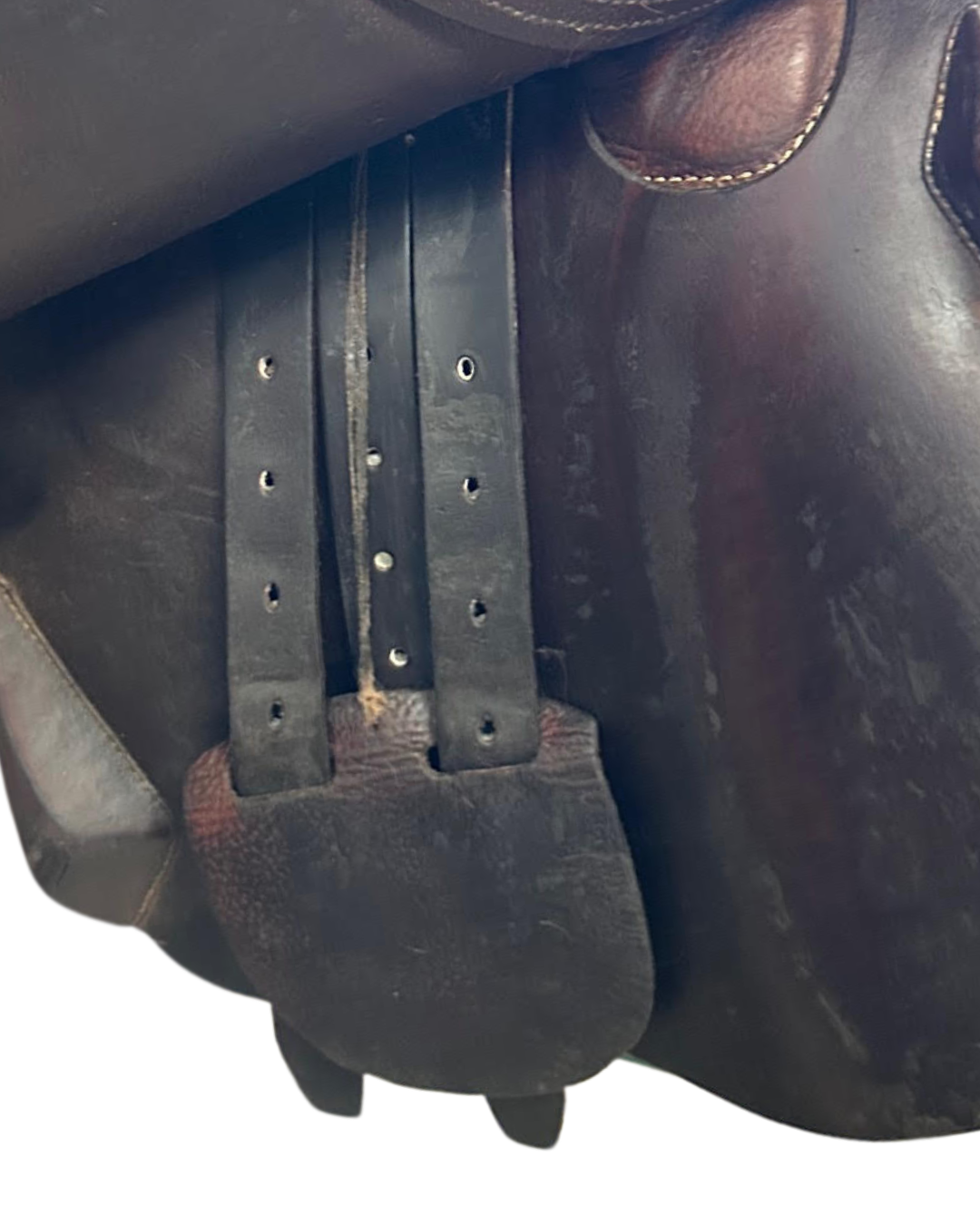 Antarès Sellier • SC • 16.5”