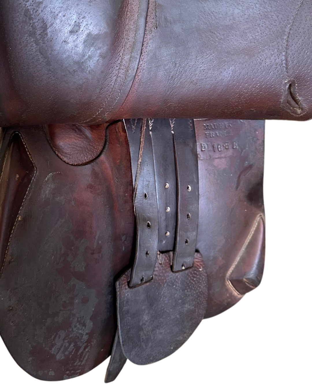 Antarès Sellier • SC • 16.5”