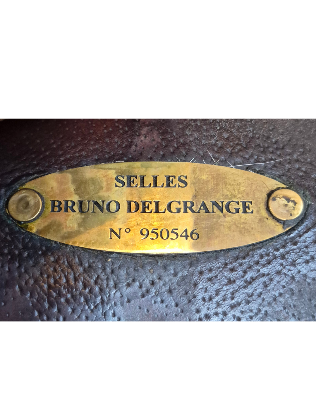 Bruno Delgrange Close Contact Saddle | 16.5
