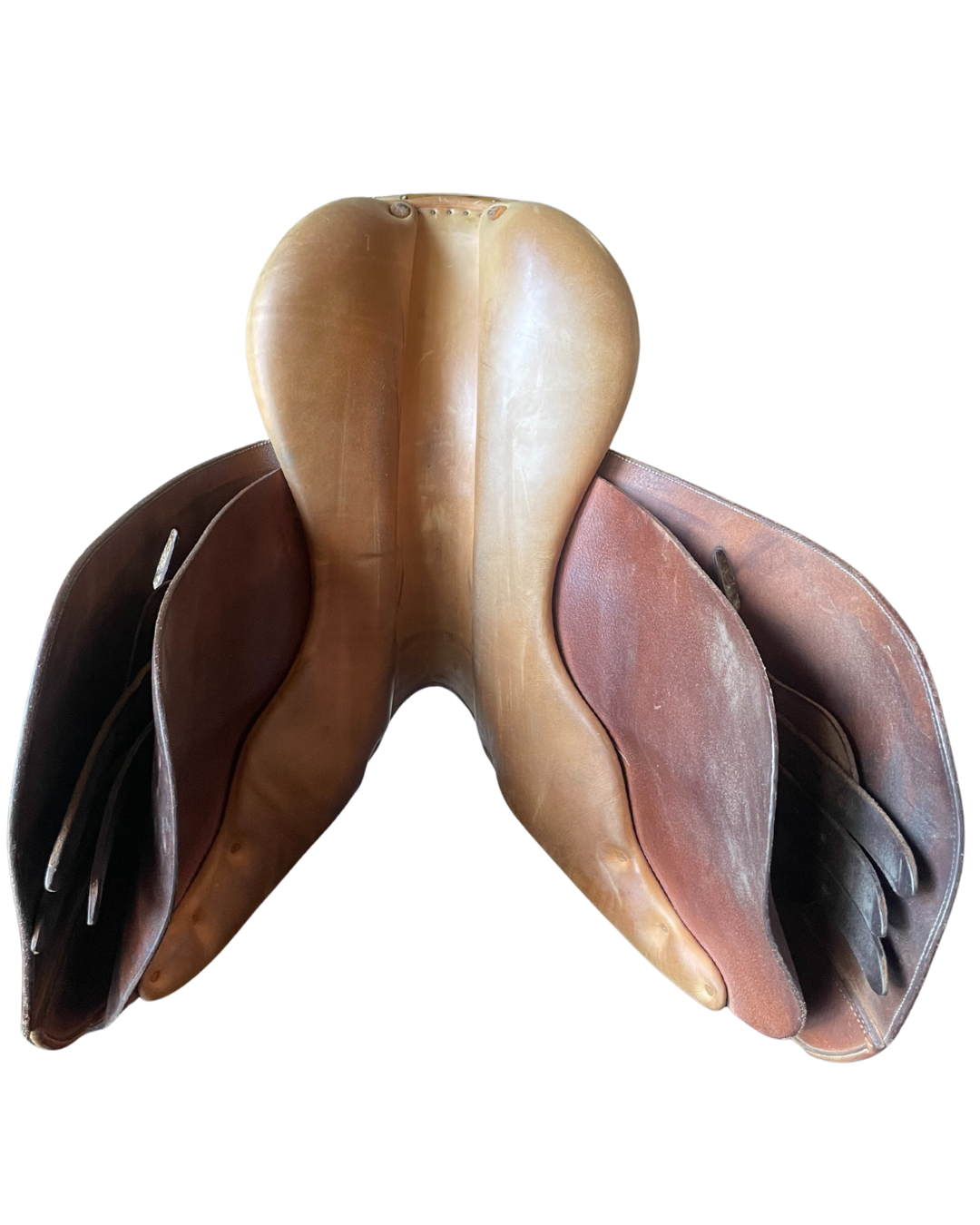 Butet • P • 16”