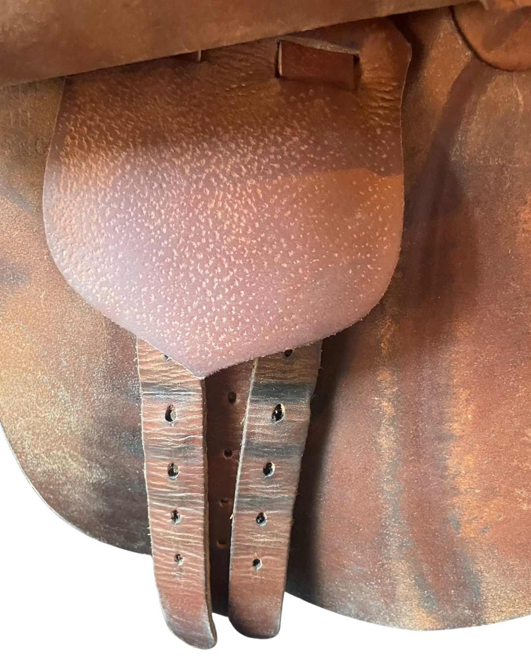 Butet • P • 16”