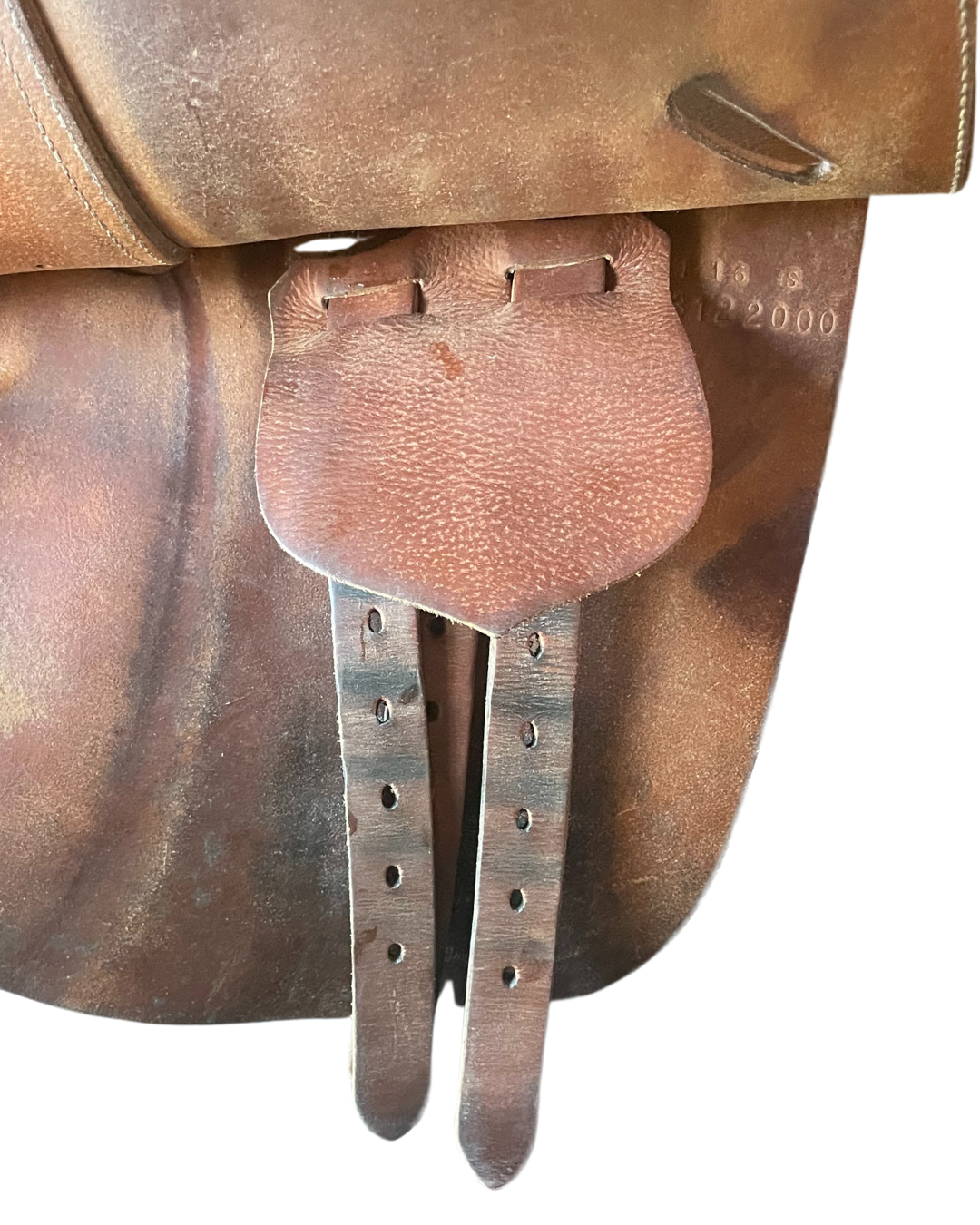 Butet • P • 16”