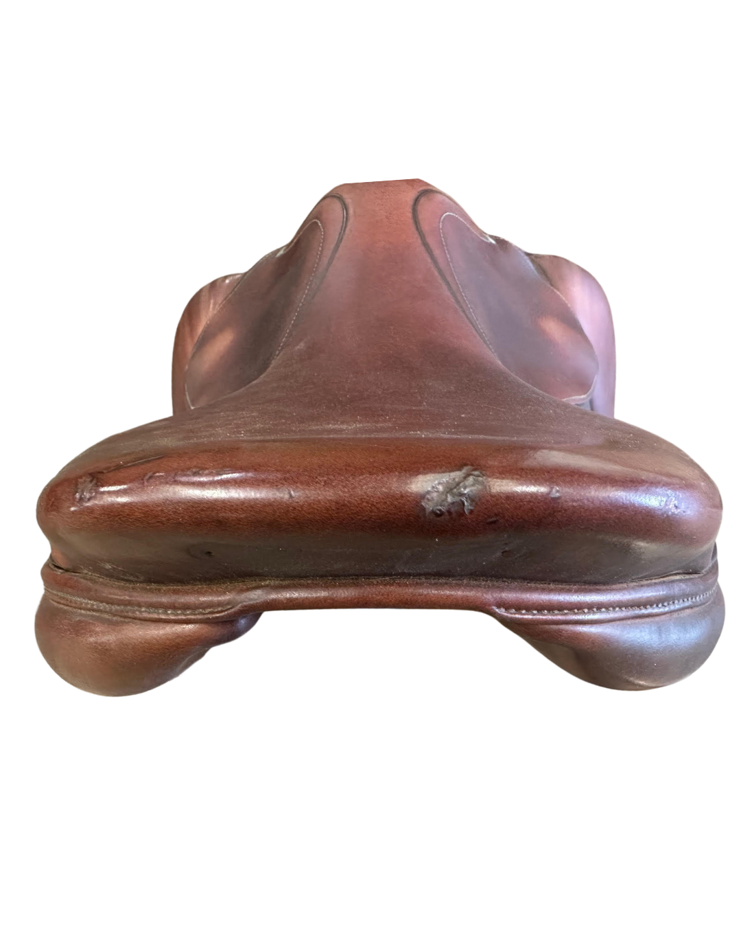 Antarès Sellier • SC • 16.5”