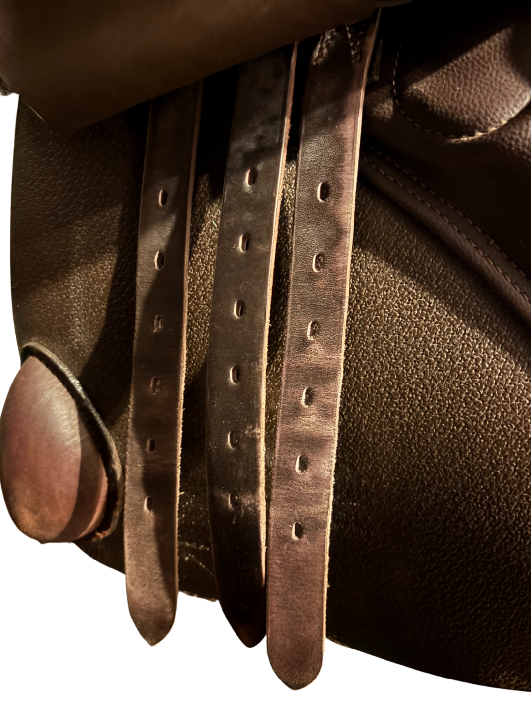 Stübben Phoenix Elite Jump Saddle | 17.5”