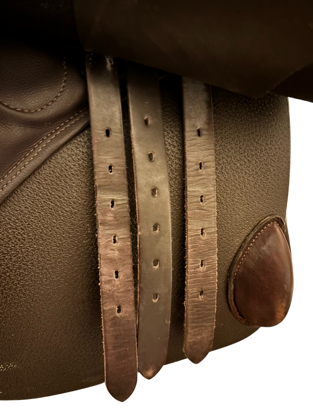 Stübben Phoenix Elite Jump Saddle | 17.5”