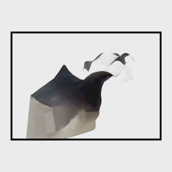 saddle rotation video